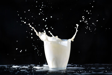 Milk splashes from a glass transparent glass, flying in all directions, falling on the table on a...