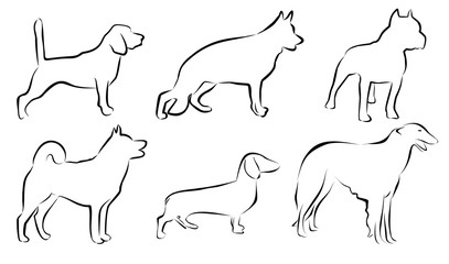 Set lines of dogs. Vector 2D illustration. Isolation on white background