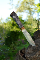 Hunting knife for survival. Knife with gray handle in the tree stump.