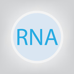 RNA (Ribonucleic Acid) concept- vector illustration