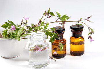 Ruprechtskraut, Tinktur, Naturheilkunde