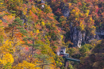 Rikuu line at Naruko gorge in autumn