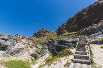 Walkway down to Diaz Beach at Cape Point with a perfect blue sky