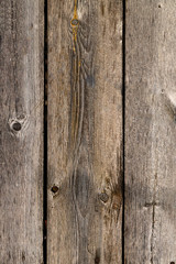 Wooden background of pine boards