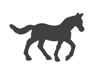 Fototapeta premium Black silhouette of horse isolated on white background.