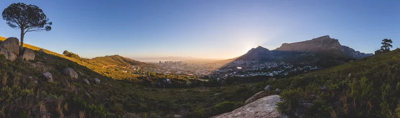 Foto op Plexiglas Panorama of Table Mountain in Cape Town at sunrise © bradleyvdw