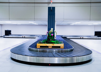 Baggage conveyor belt at the airport