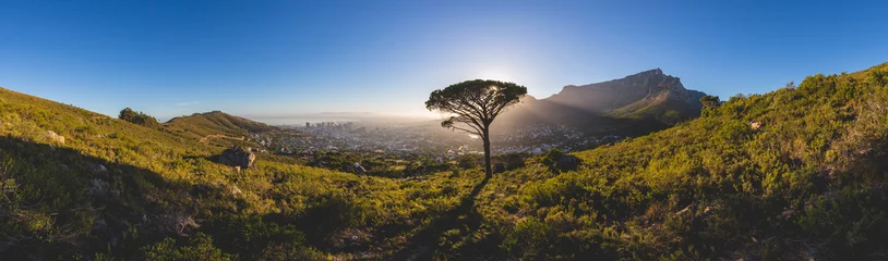 Foto op Aluminium Panorama van de Tafelberg in Kaapstad bij zonsopgang © bradleyvdw