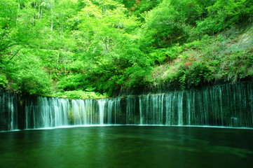 白糸の滝　軽井沢　長野　白糸　滝
