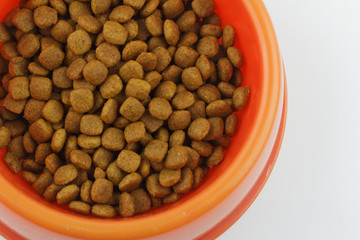 One color animal food or kibble inside a red animal bowl on isolated white background