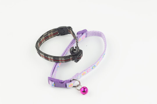 Pet collar on isolated white background