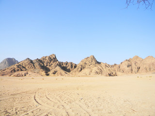 Desert background landscape