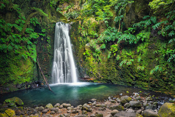 Fototapeta premium Salto do Prego waterfall lost in the rainforest, Sao Miguel Island, Azores, Portugal