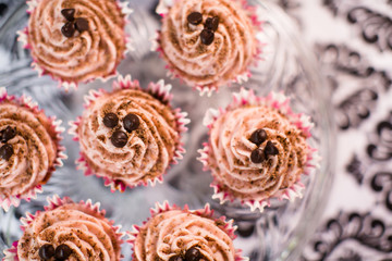 Plate of Chocolate Cupcakes