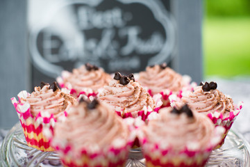 Plate of Chocolate Cupcakes