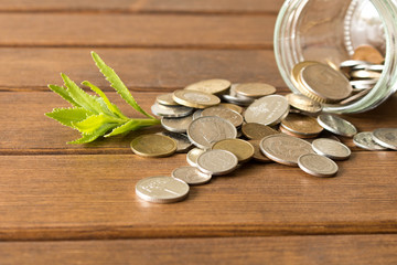 Green sprout of coins on a wooden table . The concept of saving money