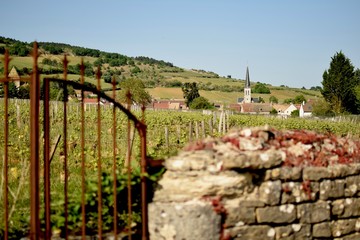 Santenay - Bourgogne