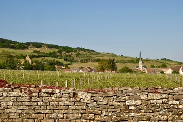 Santenay - Bourgogne
