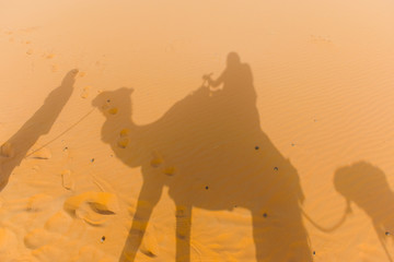 riding my dromedary on the desert