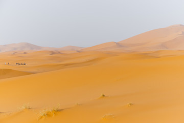 Fototapeta na wymiar Dune landscape