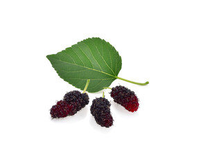 Mulberry with leaf isolated on white background