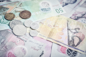 Maldivian money rufiyaa: different banknotes and coins