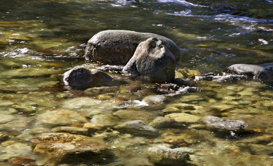 River near Tatranska Javorina village. Poprad district. Slovakia