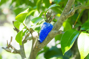 healing crystal stone and tree .