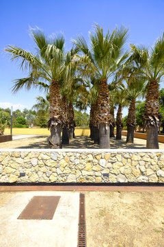 mediterranean botanical garden