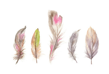 Hand drawn watercolor feather set