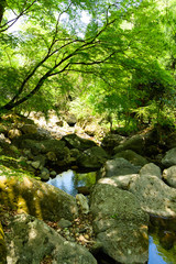 神角寺渓谷【大分県豊後大野市】