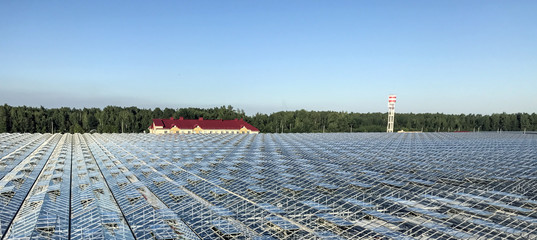 horizontal many greenhouses a few hectares for growing tomato roof glass building production office horizon forest view from above water tower