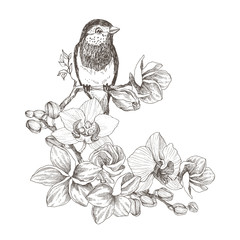 Bird hand drawn in vintage style with tropical flowers. Spring bird sitting on blossom branches of orchid. Linear engraved art. Bird concept. Romantic concept. Vector design - 207299738