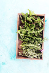 bunch of garden fresh herbs.