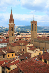 Fototapeta na wymiar View of Firenze 