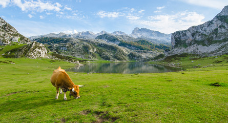 Lagos de covadonga