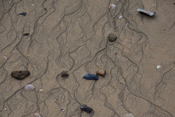 Rocks and shells on the beach in low tide, with rivulets formed by receding water