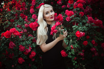 Beautiful blonde woman in bush of red roses