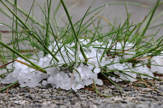 Unwetter im Fr&uuml;hling und Sommer. Hagelk&ouml;rner auf dem Boden 