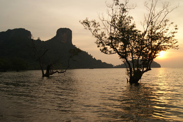 Sunrise over East Railay Beach in Krabi, Thailand