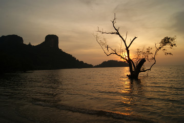 Sunrise over East Railay Beach in Krabi, Thailand