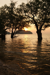 Sunrise over East Railay Beach in Krabi, Thailand