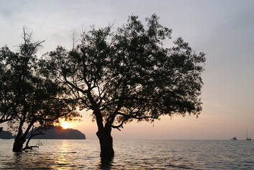 Sunrise over East Railay Beach in Krabi, Thailand