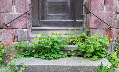 verwilderter Hauseingang, Leerstand