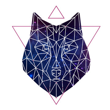 Abstract polygonal tirangle animal wolf on open space background. Hipster animal illustration.