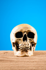 Skull in the desert