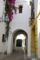 Fototapeta na wymiar Arches in passageway in Cordoba, Spain