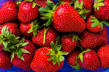 Plastic container with fresh strawberries