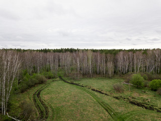 A fallen tree on a glade surrounded by a birch forest and other trees, with a dirt road and bushes in Russia. Aerial photography from the air by a quadrocopter.