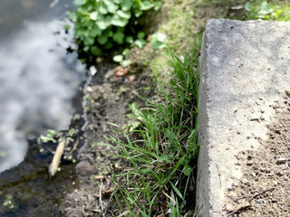 Stone on the river bank
